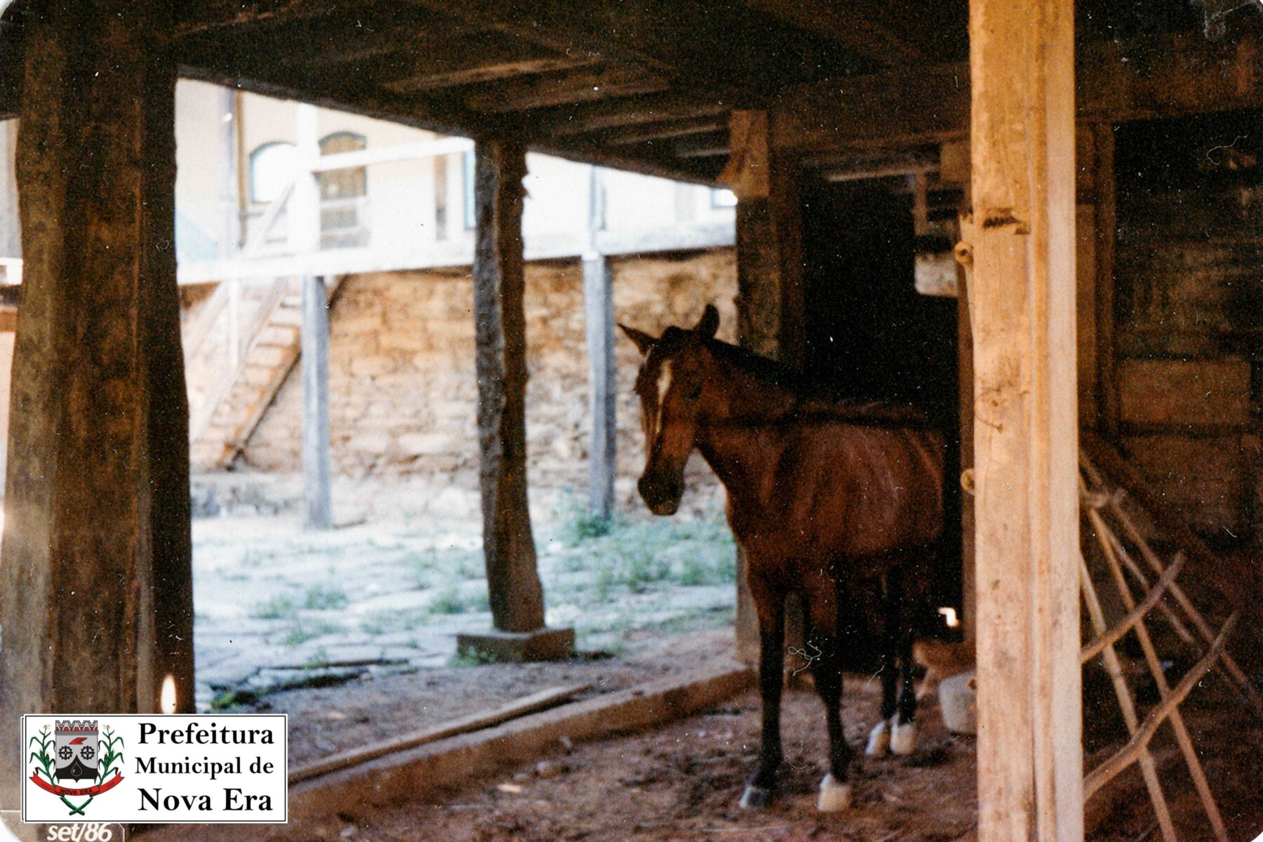 44.jpg