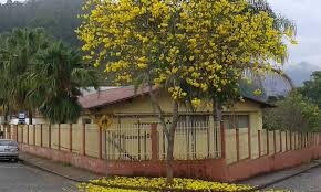 escola-municipal-delby-pires-muzzi